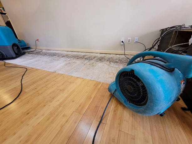 Professional Basement Flood Cleanup technician working in Colcord, OK